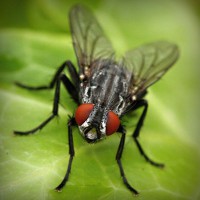 /album/ucretsiztarot/photolia-a01-jpg/