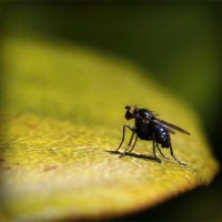 /album/ucretsiztarot/photolia-a07-jpg/