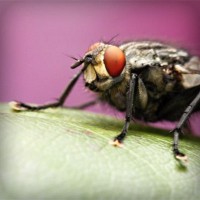 /album/ucretsiztarot/photolia-a08-jpg/